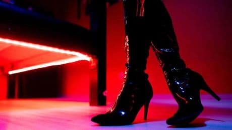 Offizielle Zahlen: Sexarbeit-Statistik: Mehr Prostituierte gemeldet