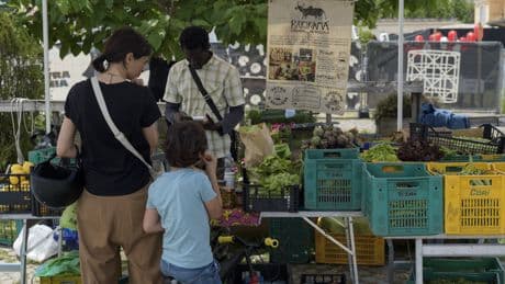 L'Italie prête à accepter 500 000 travailleurs étrangers