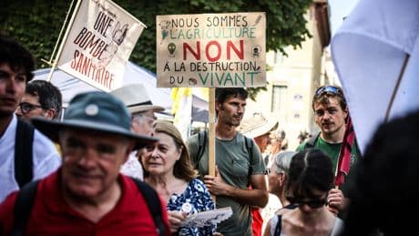 Loi Duplomb : quel avenir pour la pétition qui a dépassé les 180 000 signatures ?