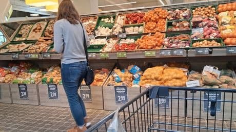 Ernte bricht stark ein: In Supermärkten könnten deutsche Kartoffeln knapp werden