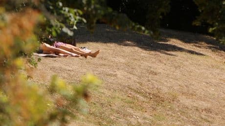 Rasen nach dem Düngen verbrannt: So retten Sie Ihr Grün