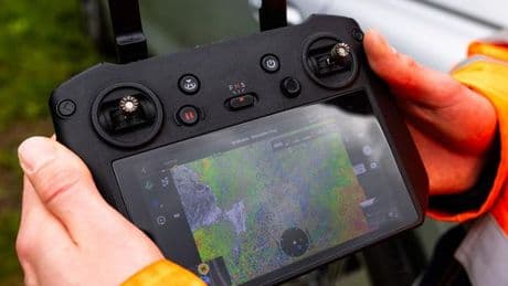 Stark wachsende Pflanzen: Im Kampf gegen den Staudenknöterich fliegen Drohnen
