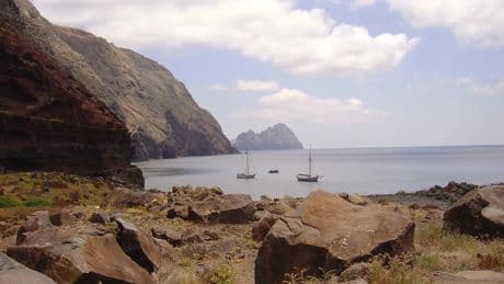 La &#039;isla de las tarántulas&#039;: un paraíso de acceso restringido en medio del mar