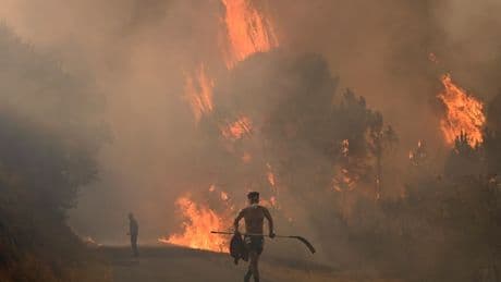 Incendies de forêt : record dans l’UE avec plus d’un million d’hectares brûlés depuis début 2025