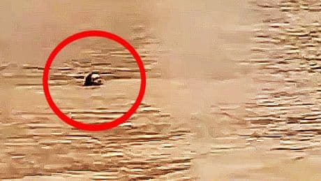 Sie ist schwanger!  - Frau in Ekel-Fluss gefangen