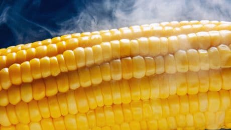 What the heck is “corn sweat” and is it making the Midwest more dangerous?