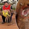 See the shocking photos that led to top greyhound trainer being charged with a staggering 26 alleged offences