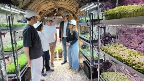 Asturias convierte sus minas en laboratorios tecnológicos y crea el primer invernadero subterráneo