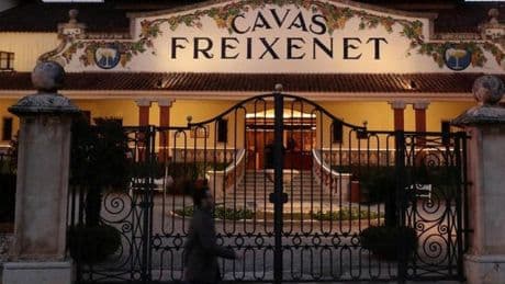 Freixenet anuncia un ERE el 24% de la plantilla por la sequía