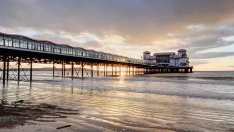 Popular UK seaside town invaded by swarms of beetles that BITE