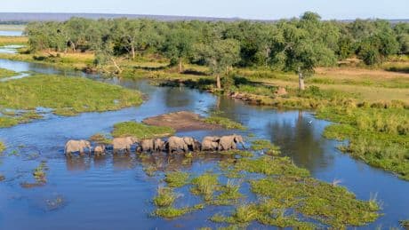 The struggle to protect wildlife around the world as Trump’s aid cuts start to bite