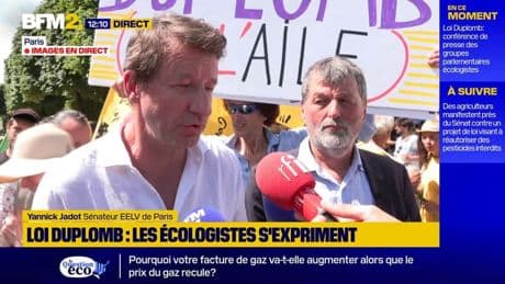 Loi Duplomb: Yannick Jadot dénonce une "loi trumpiste"