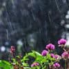 Wetter in Berlin und Brandenburg: Wochenende endet wolkig und wechselhaft