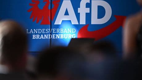 Brandenburg: Landes-Verfassungsschutz setzt AfD-Einstufung vorerst aus