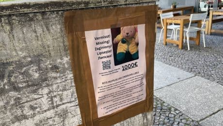 Emotionaler Verlust: Galerist bietet 1000 Euro Finderlohn – für einen gestohlenen Teddy