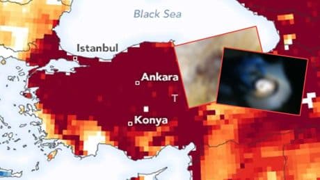 Türkiye'nin yeni baş belası: Çin'den geldi, İstanbul'a yerleşti! Uzmanlar uyardı: Gören hemen yetkililere bildirsin