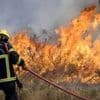 « Fiable à 97 % » : l’intelligence artificielle au service des pompiers pour détecter les incendies