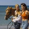 Urlaubsdrama „Hot Milk“ im Kino: Giftige Quallen, fiese Mutter