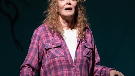 Review: Jean Smart, Gritty and Poetic in ‘Call Me Izzy’