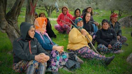 Akbelen'de bazı ağaçlara dokunulmama sebebi: 'Jandarma gölgede durabilsin diye'