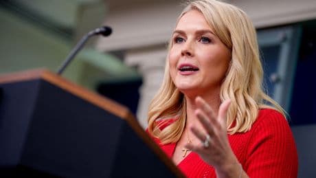 ‘America cannot function’: Karoline Leavitt lashes out at judges blocking Trump orders at record rate
