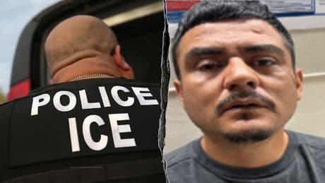 Illegal immigrant faces charges for spitting on ICE officer in Los Angeles: 'OK, you got me'