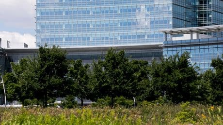 Ex-Employee Sentenced to 4 Years for Sabotaging Company’s Computer Network