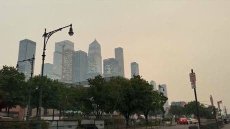 Chaleur, feux de forêt...Le réchauffement climatique aggrave la pollution de l'air aux États-Unis