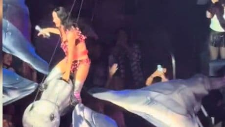 Panne bei Show in San Francisco - Katy Perry fällt fast auf Fans