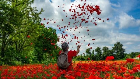 La celebración de la primavera en los campos de Manlleu