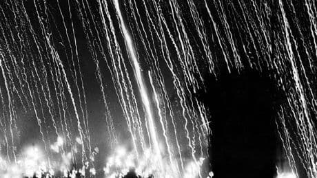 « La Forêt de flammes et d’ombres » d’Akira Mizubayashi : l’art, dernier rempart après Hiroshima