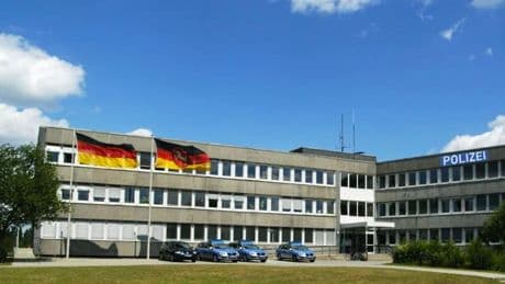 Kammerjäger bei Kripo im Einsatz - Kakerlaken krabbeln durch die Büros der Polizei