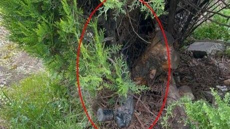 Okula çok yakın noktada! Çalılar budanınca ortaya çıktı, ekipler alarma geçti