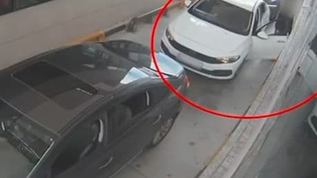 'Sevenler' suç örgütüne operasyon: 9 gözaltı