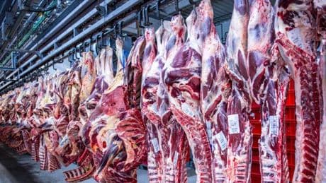 Rückschlag für Tönnies – was der geplatzte Deal für das Fleisch-Imperium bedeutet