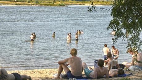 De zon schijnt weer volop, al gaat de temperatuur de komende dagen wel iets dalen