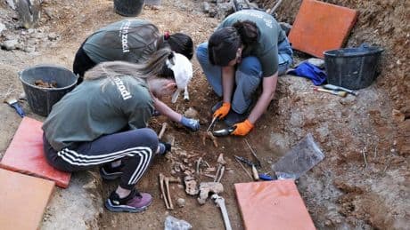Exhumados en Genevilla (Navarra) los restos de una persona asesinada en la Guerra Civil: podría ser un alcalde