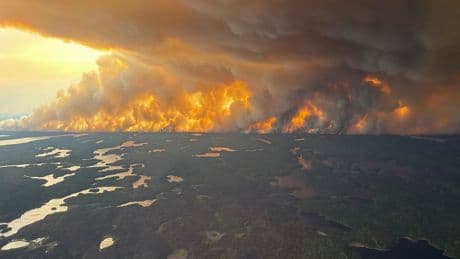 Canada’s wildfires may impact gas prices: here’s how