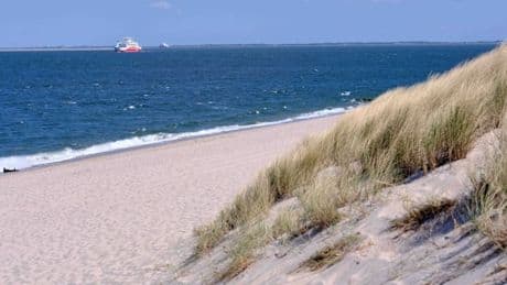 Koks-Schwemme am Sylter Strand gestoppt