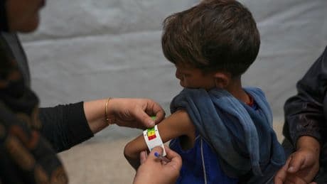 ¿Está calando el genocidio de Gaza en la conciencia europea?