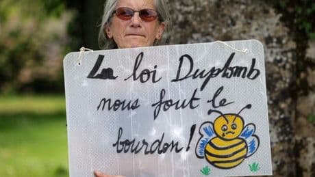 Loi Duplomb : où en est la pétition et quelle suite peut lui être donnée