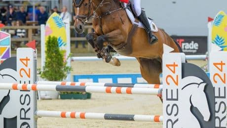 Reiterin des RV Kaldenkirchen: „Ich kann es noch nicht fassen“ – Johanna Hell gewinnt Jugend-Europameisterschaft