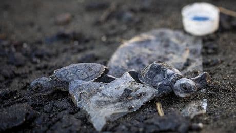 Les négociations sur le traité sur le plastique face aux premières critiques