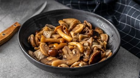 Pilzsaison in der Küche - Hier kommen die besten Pilz-Rezepte