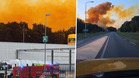 Argwaan bevolking Borculo groot na explosie  FrieslandCampina-fabriek: ’De bomen kleurden direct bruin’