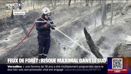 Feux de forêt: risque maximal dans le sud de la France