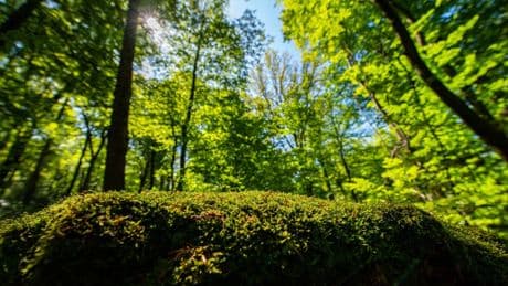 Tag des Wanderns: Von wegen langweilig: Ideen gegen den Wander-Frust