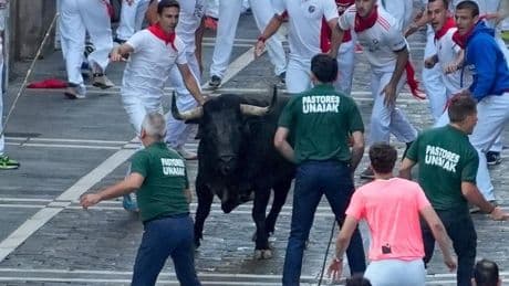 'Caminante' siembra el caos por las calles de Pamplona y deja el primer corneado de Sanfermines