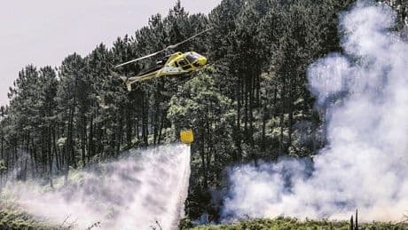 Bizkaia ultima la ley para mejorar el monte y reducir su abandono y los incendios