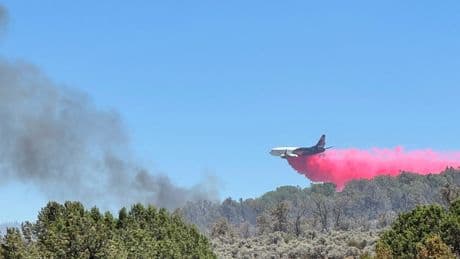 An official says a historic Grand Canyon lodge has been destroyed by wildfire